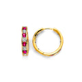 14K Yellow Gold Hoop Earring - ER2017