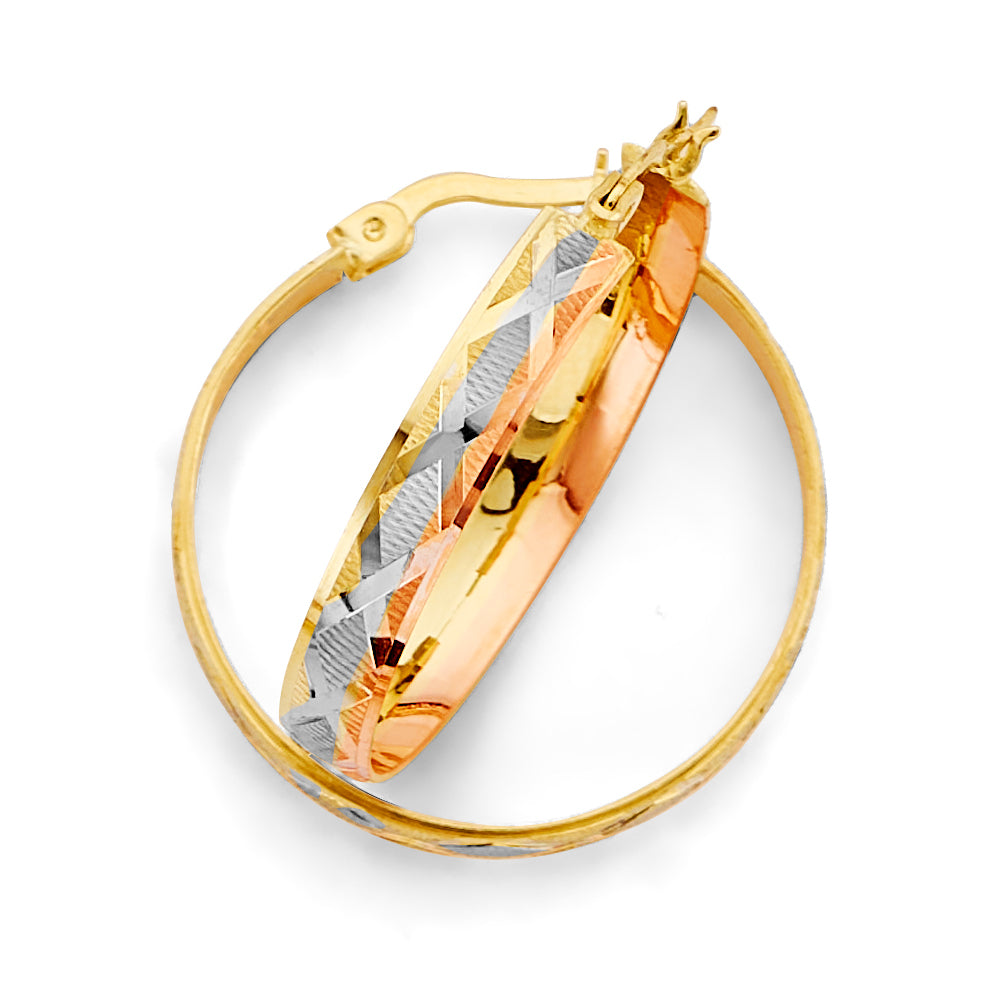 14K Tri Color Ball, 3 Color & Fancy Earring - ER2025