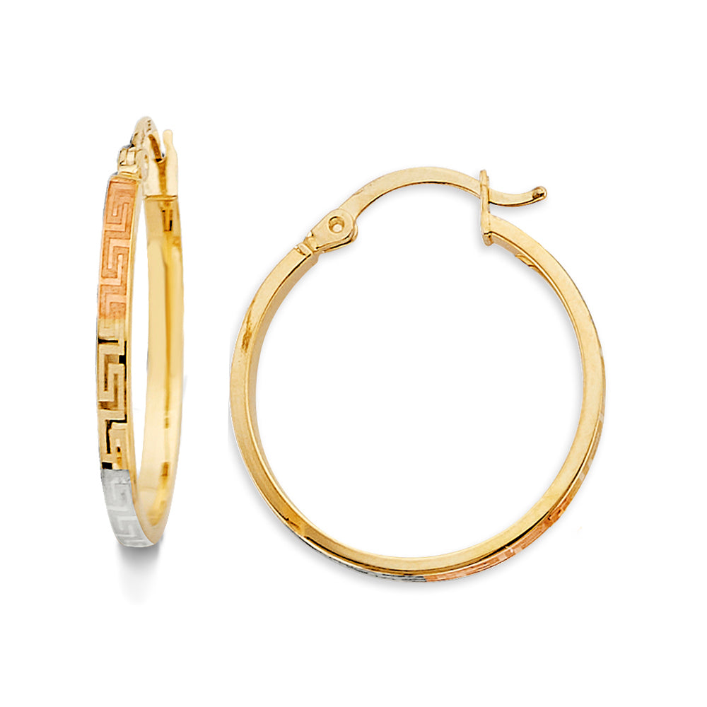 14K Yellow Gold Basic & Fancy Hoop Earring - ER2045