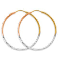 14K Yellow Gold Basic & Fancy Hoop Earring - ER2103