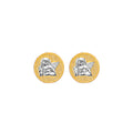 14K Yellow Gold Assorted Earring - ER2140