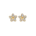 14K Yellow Gold Post Earring with Push Back - ER2166