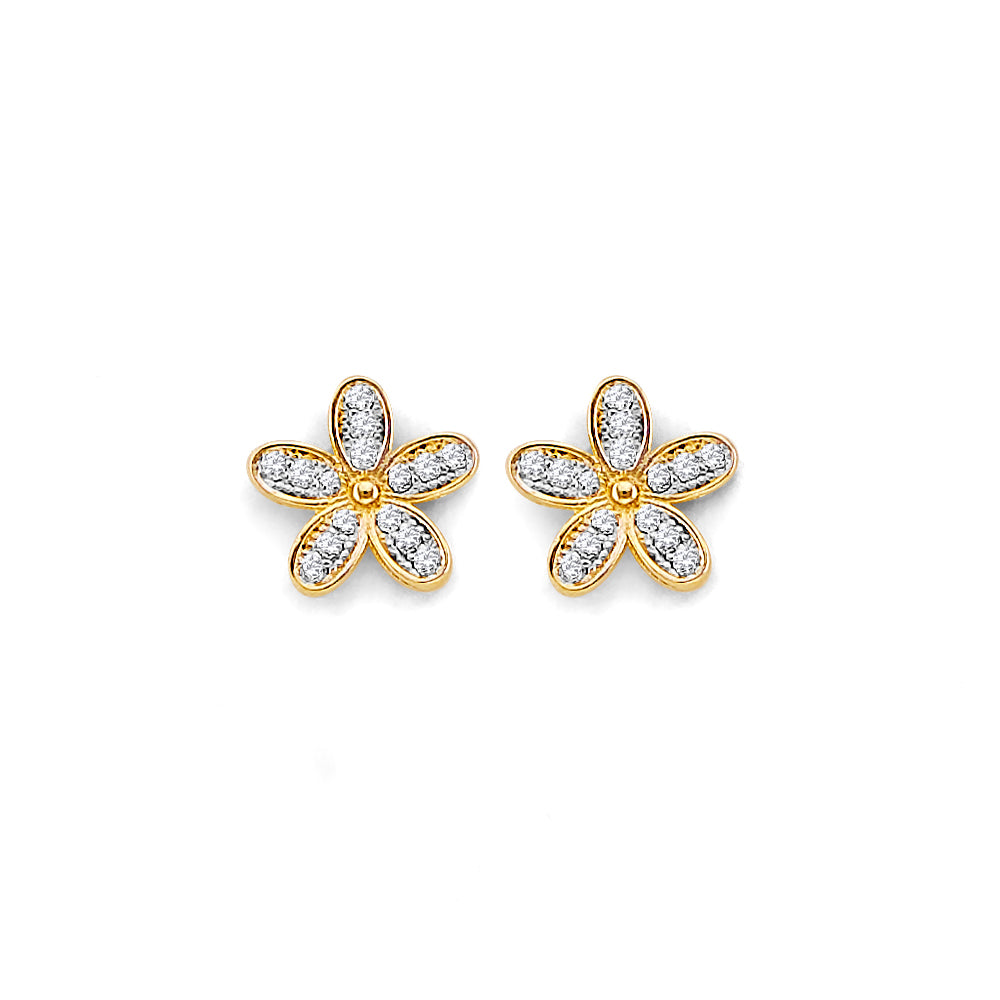 14K Yellow Gold Post Earring with Push Back - ER2166