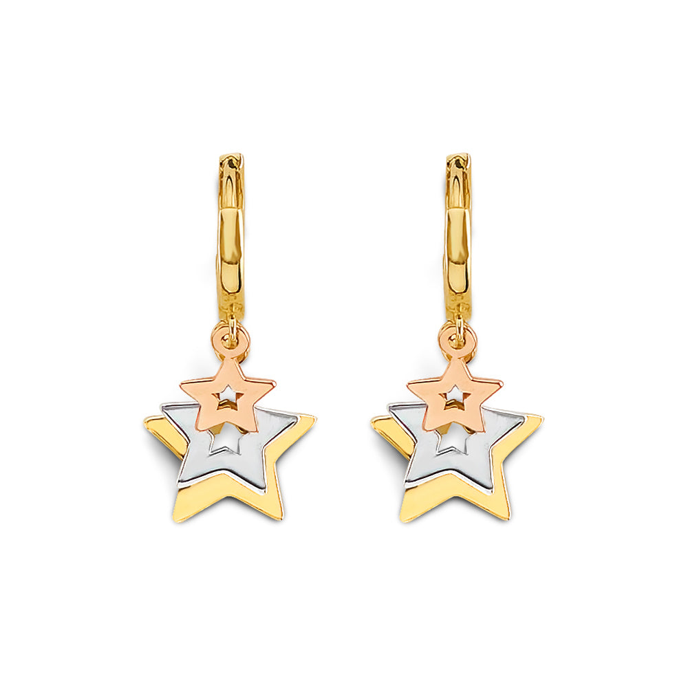 14K Yellow Gold Hanging Earring - ER2176