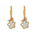 14K Yellow Gold Hanging Earring - ER2179