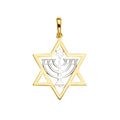 14K Yellow Gold Religious Pendant - PT2238