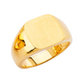 14K Yellow Gold Men's, Signet & Nugget Ring - RG2729
